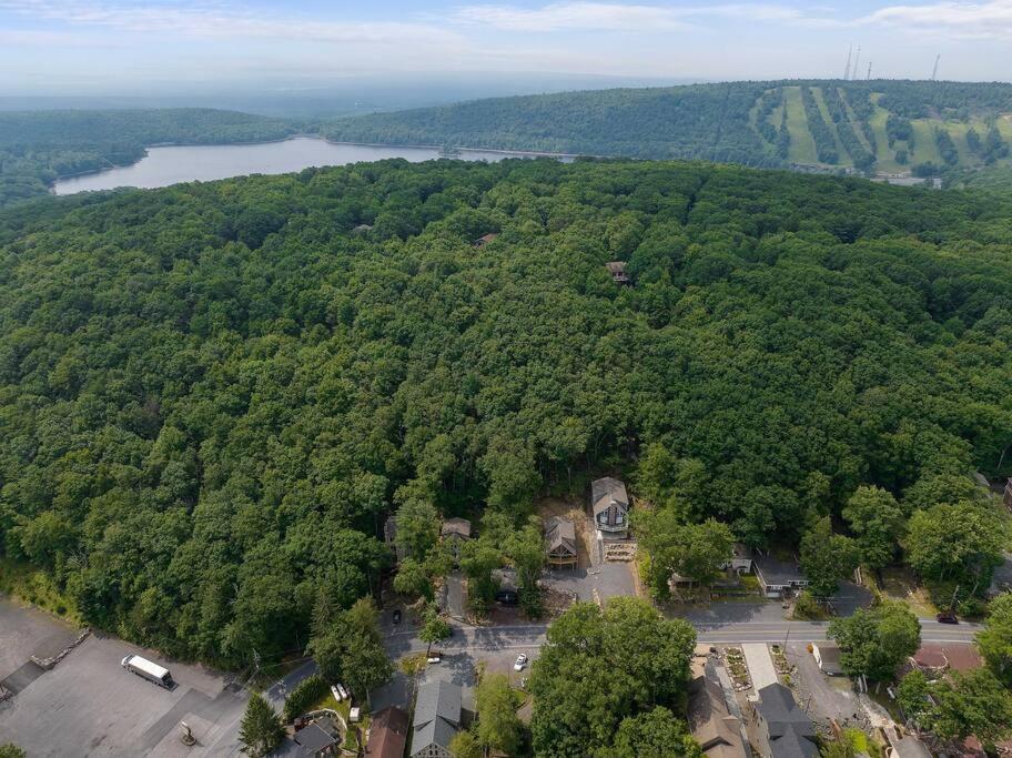 View Enchanted Treehouse- Harmony